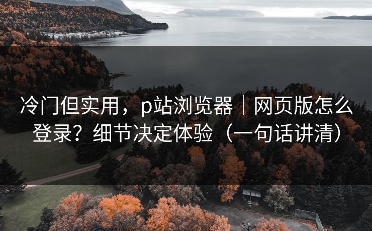 冷门但实用，p站浏览器｜网页版怎么登录？细节决定体验（一句话讲清）