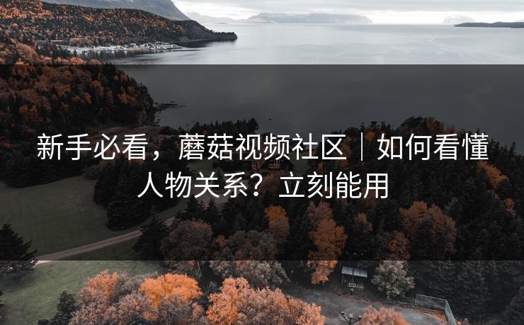 新手必看，蘑菇视频社区｜如何看懂人物关系？立刻能用