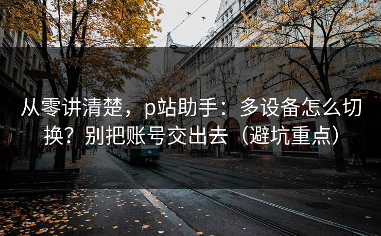从零讲清楚，p站助手：多设备怎么切换？别把账号交出去（避坑重点）