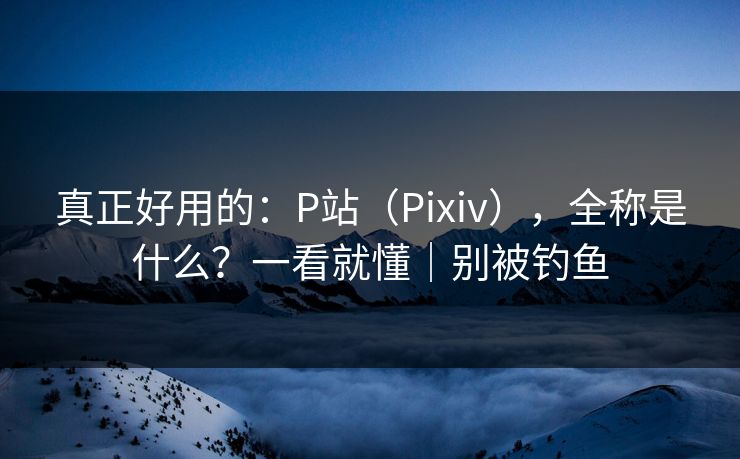 真正好用的：P站（Pixiv），全称是什么？一看就懂｜别被钓鱼