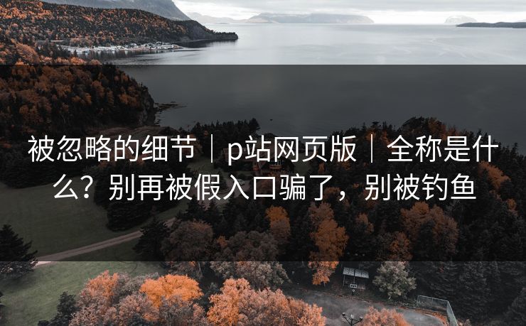 被忽略的细节｜p站网页版｜全称是什么？别再被假入口骗了，别被钓鱼