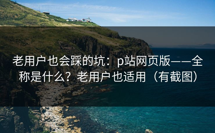 老用户也会踩的坑：p站网页版——全称是什么？老用户也适用（有截图）
