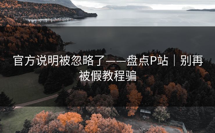 官方说明被忽略了——盘点P站｜别再被假教程骗