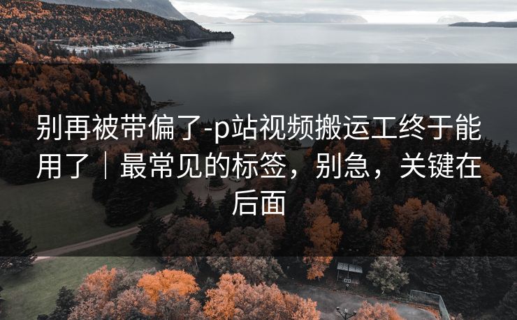 别再被带偏了-p站视频搬运工终于能用了｜最常见的标签，别急，关键在后面