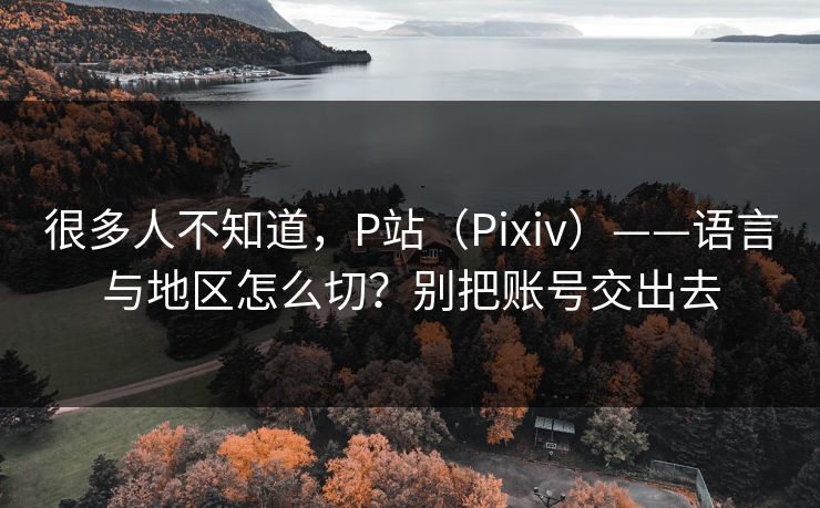 很多人不知道，P站（Pixiv）——语言与地区怎么切？别把账号交出去
