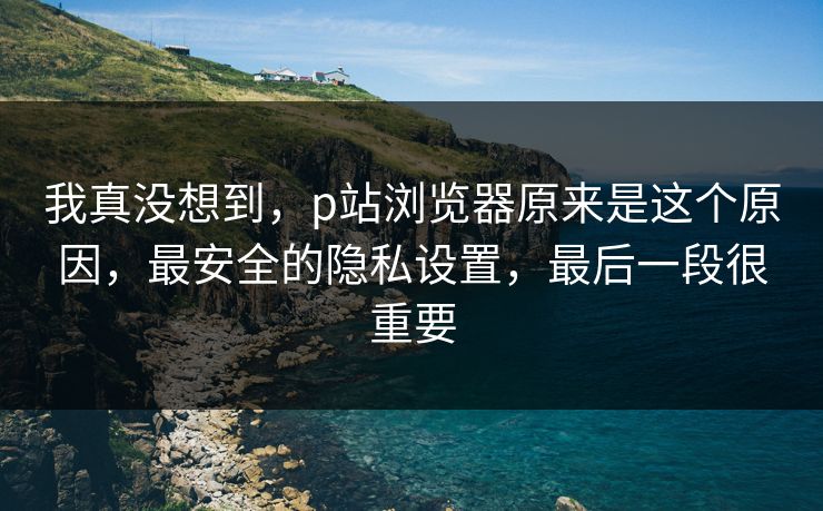 我真没想到，p站浏览器原来是这个原因，最安全的隐私设置，最后一段很重要