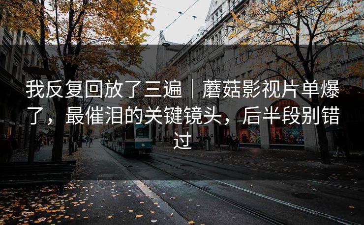 我反复回放了三遍|蘑菇影视片单爆了,最催泪的关键镜头,后半段别错过
